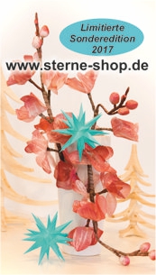 limitierter Jahresstern 2017 - Herrnhuter Sterne