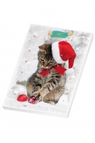Kinder Schoko-Adventskalender - Katze Kinder Schoko-Adventskalender - Katze