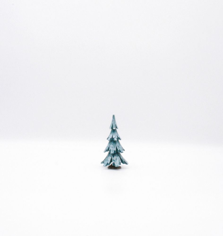Winterbaum Tanne - 9,5 cm