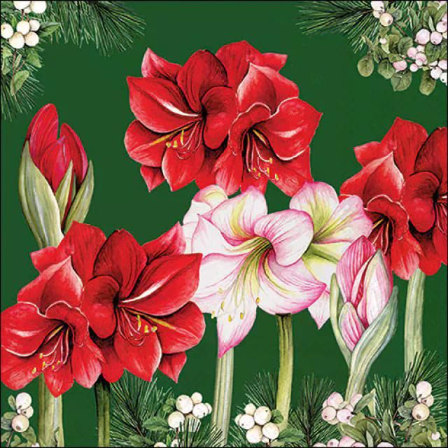 Lunchservietten - Blühende Amaryllis