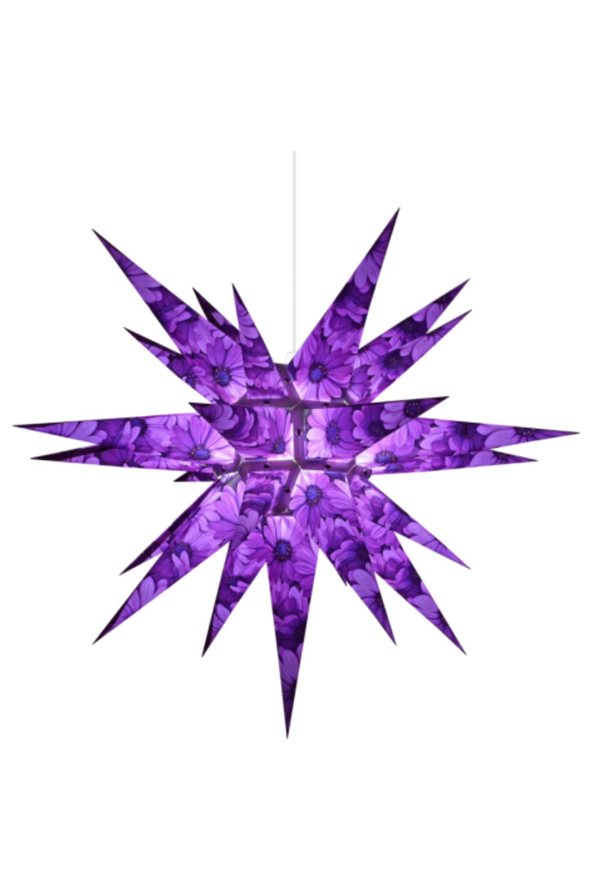 Herrnhuter Papierstern 60 cm - Kapmargerite inkl. Beleuchtung Herrnhuter Papierstern 60 cm - Kapmargerite inkl. Beleuchtung