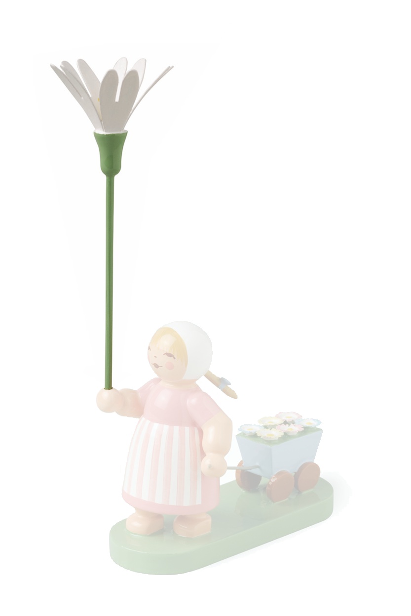 Ersatzblume Sternmiere für Blumenkind Ersatzblume Sternmiere für Blumenkind