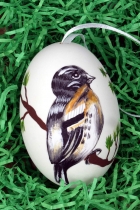 Hühnerei - Vogelmotiv bemalt Hühnerei - Vogelmotiv bemalt