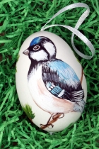 Hühnerei - Vogelmotiv bemalt Hühnerei - Vogelmotiv bemalt