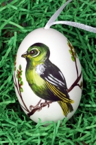 Hühnerei - Vogelmotiv bemalt Hühnerei - Vogelmotiv bemalt