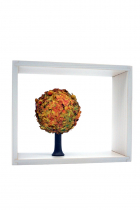 Apfelbaum im Rahmen, weiß (Herbst) Apfelbaum im Rahmen, weiß (Herbst)